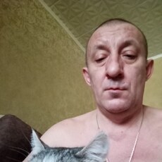 Лев