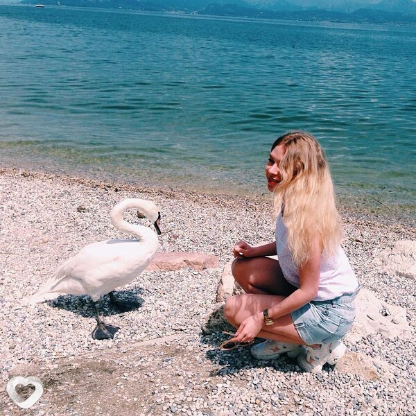 Света