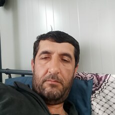 Альбик