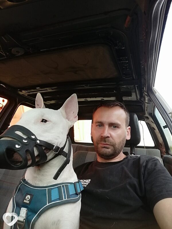Вениамин