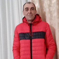 Всеволод