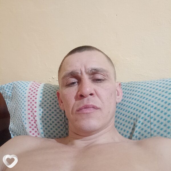 Всеволод