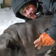 Давидик