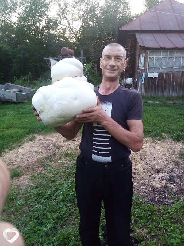 Кузьма