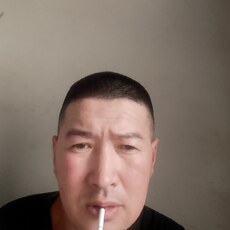 Лев