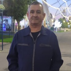 Платоша