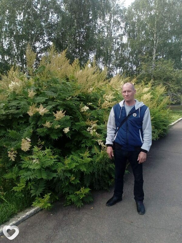 Ян