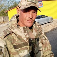 Всеволод