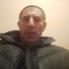 Лев
