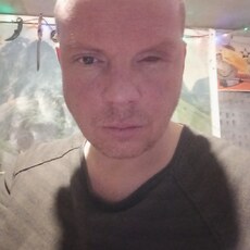 Давид