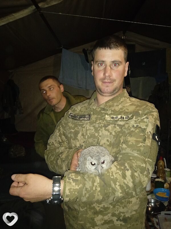 Харитон