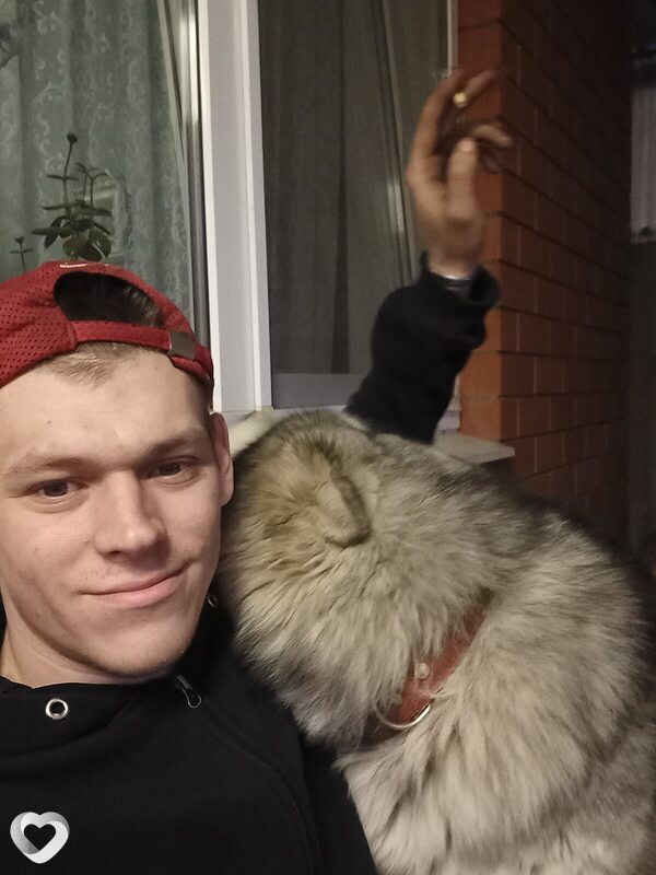Всеволод
