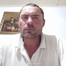 Платоша