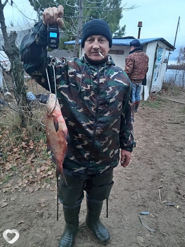 Аркадий