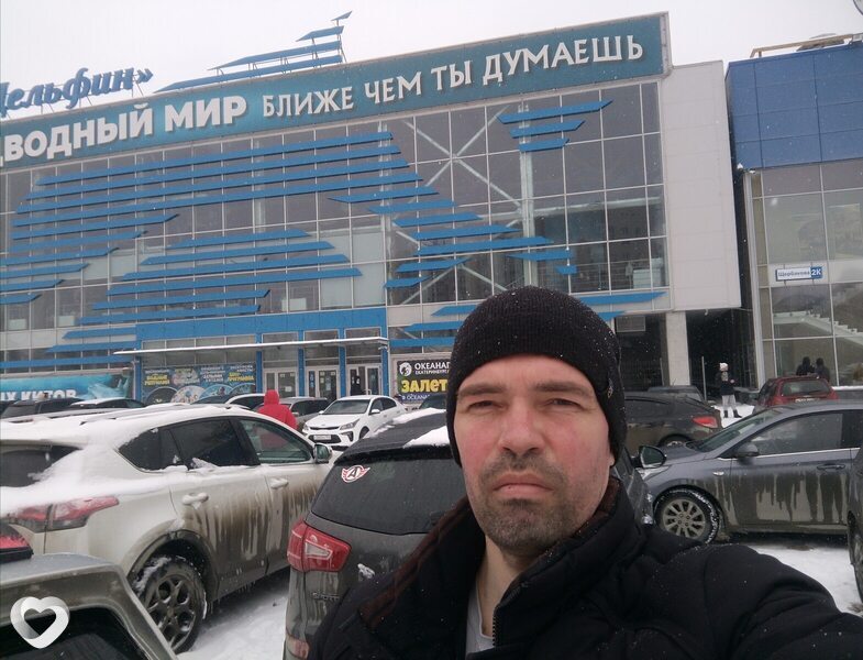 Давид