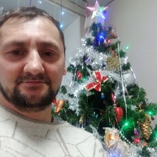 Платоша
