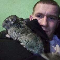 Альбик