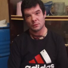 Тим