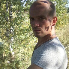 Альбик