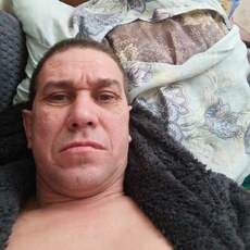 Лев