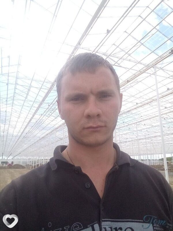 Лев