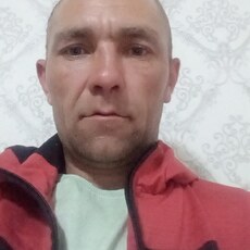 Давидик