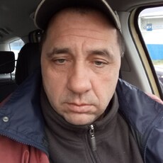 Миша