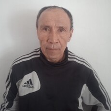 Мотя