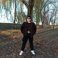 Альбик