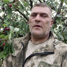 Демид