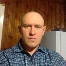 Альбик