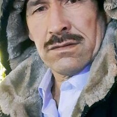 Альбик