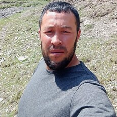 Давид