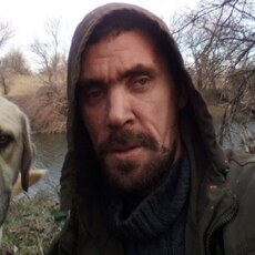 Гаврик
