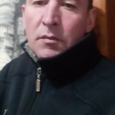 Лев