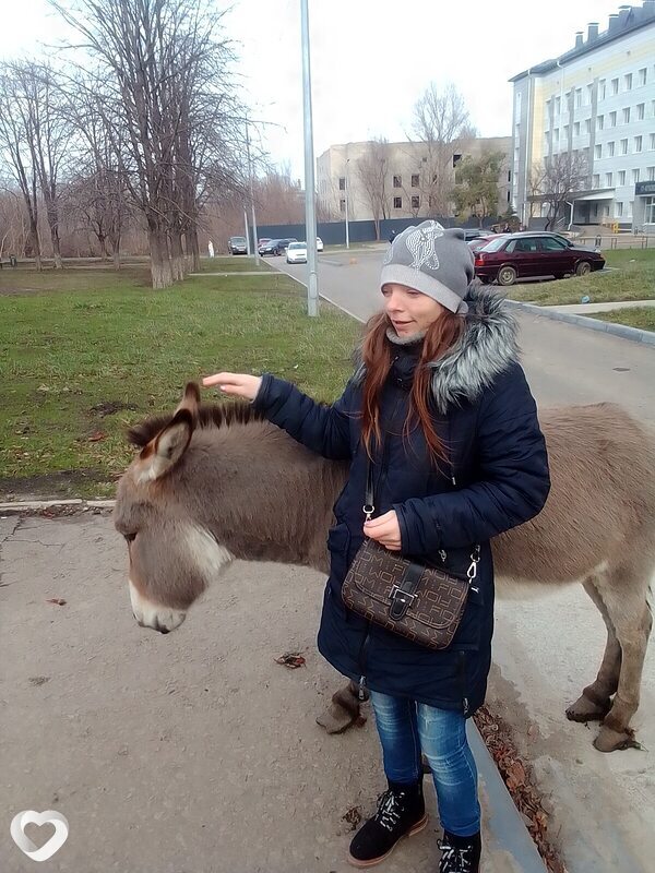 Снежа
