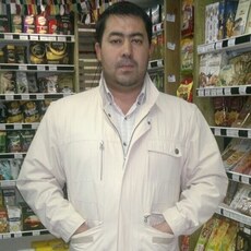 Лев