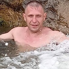 Всеволод