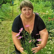 Роза