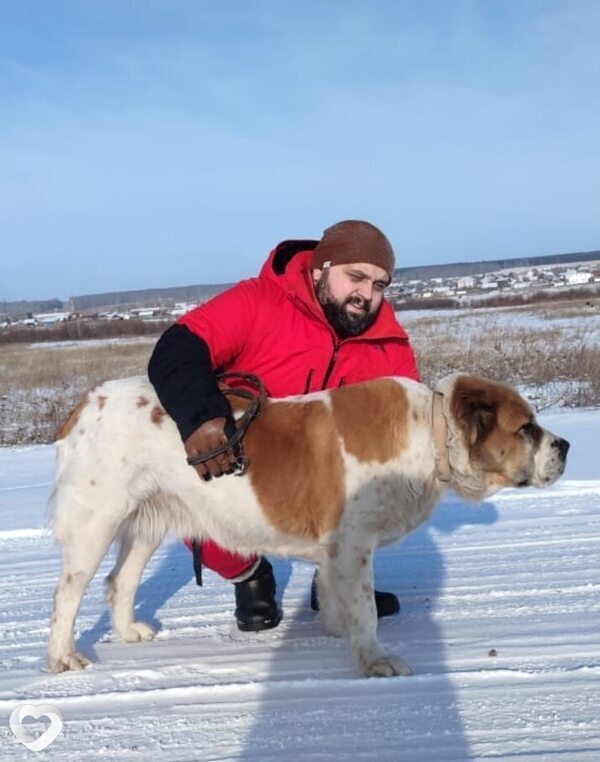 Коля