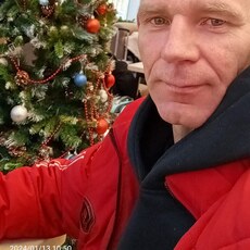 Давидик