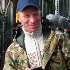 Роман