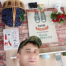 Всеволод