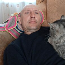 Вова