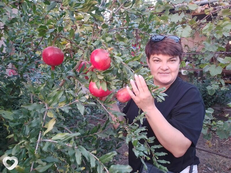 Елизавета