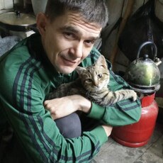 Платон