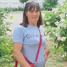 Света
