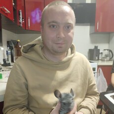 Демид