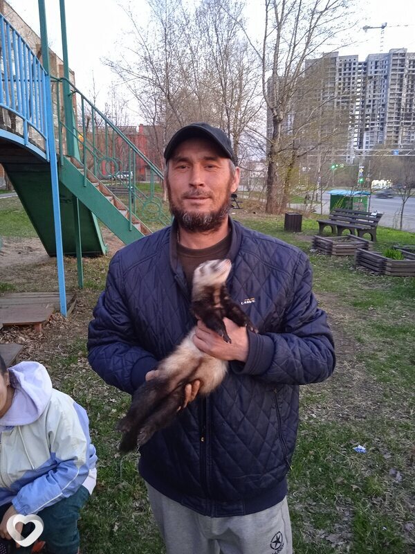 Давид