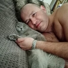 Гавриил